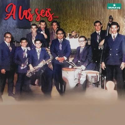 Con Los Salvajes del Ritmo... - Los Salvajes del Ritmo