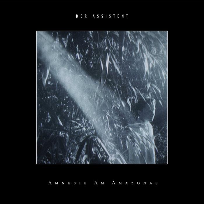 Amnesie am Amazonas (Album) - Der Assistent