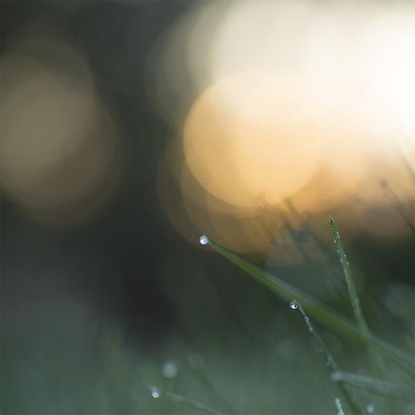 Stillpoint - Purl