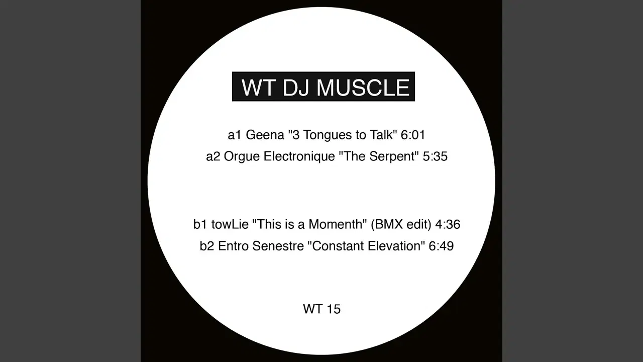 WT DJ Muscle 15 - Orgue Electronique