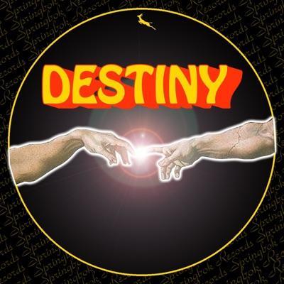 Destiny - Stephane Deschezeaux