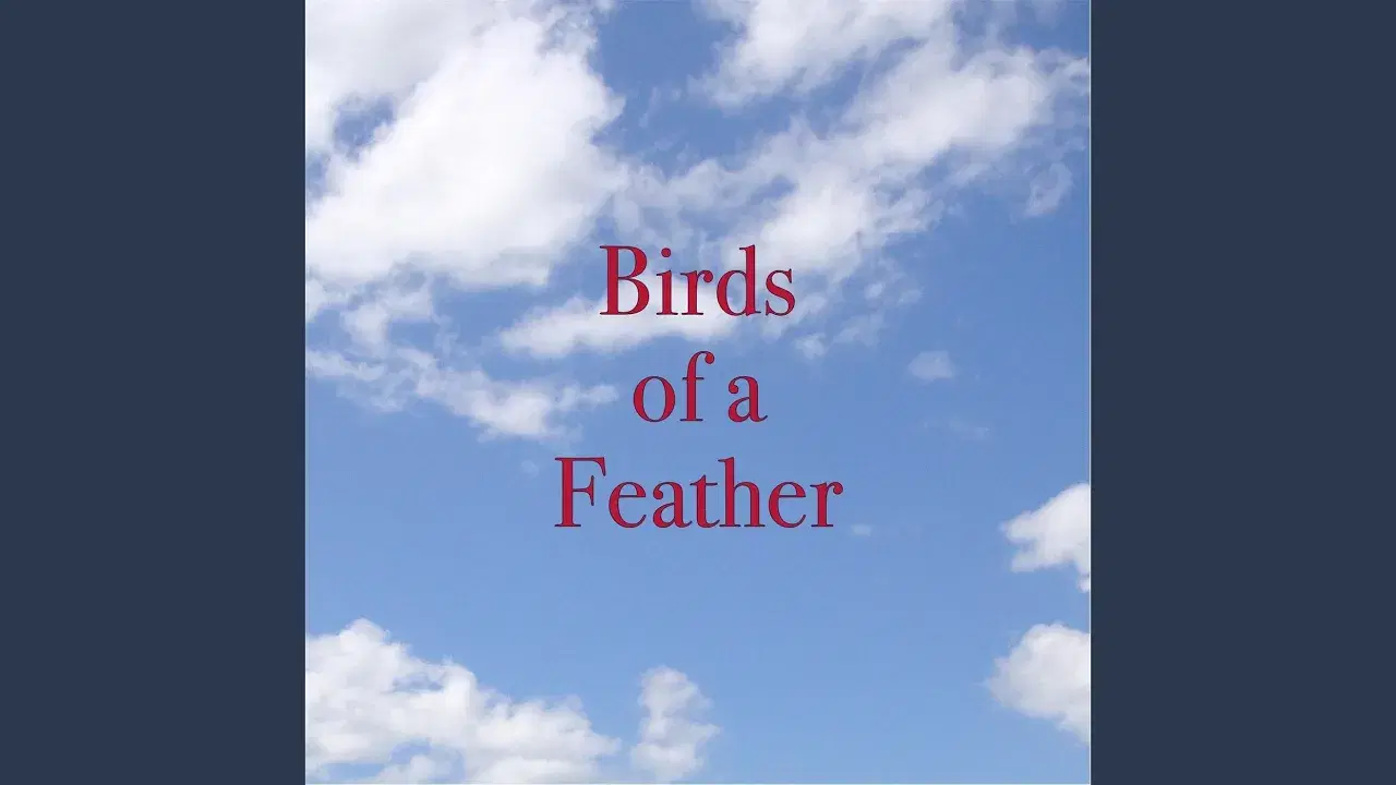 Best of Birds of a Feather - Birds of a Feather