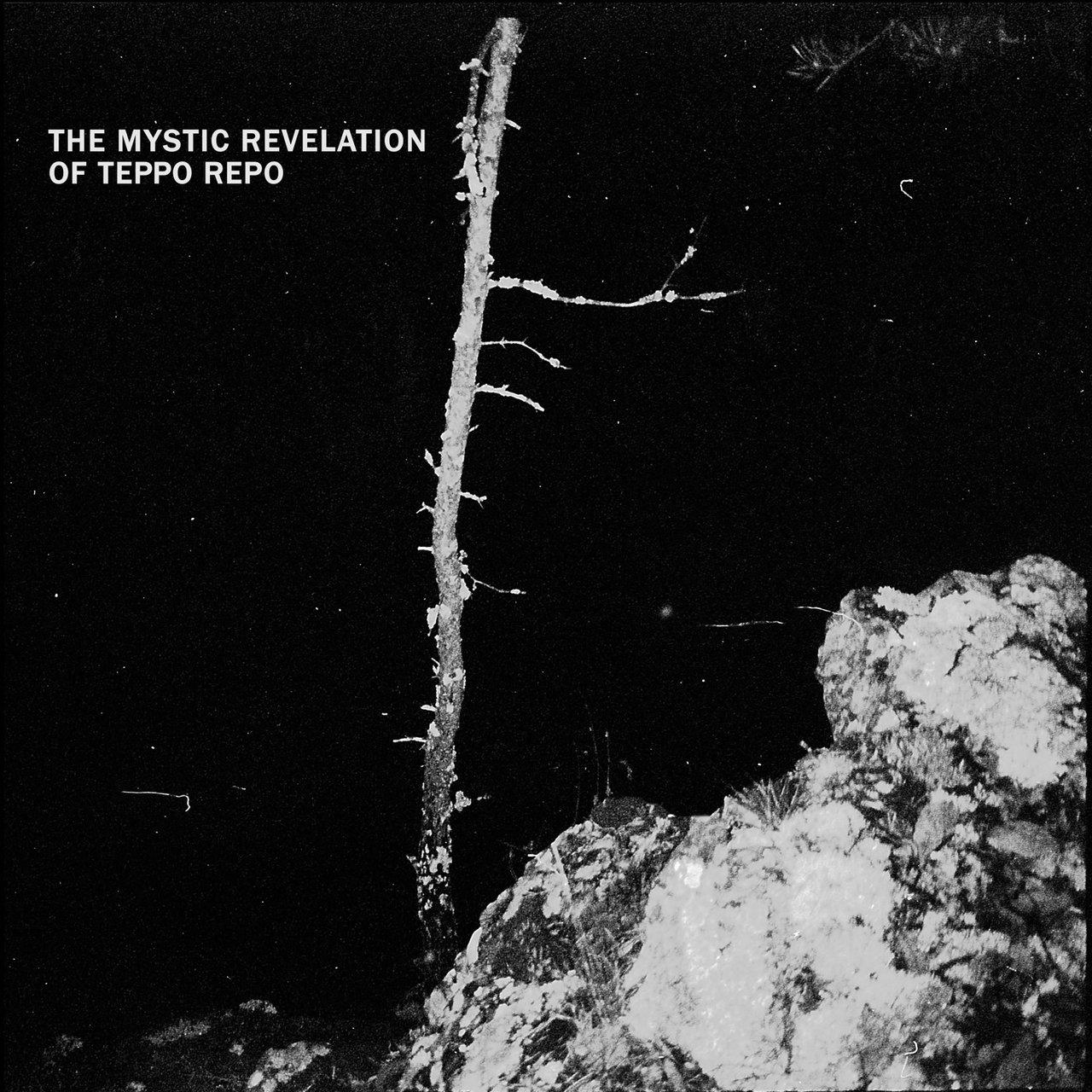 Kosmoksen erakko - The Mystic Revelation of Teppo Repo