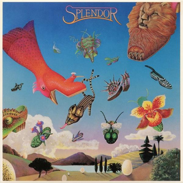 Splendor - Splendor