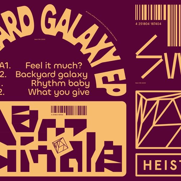 Backyard Galaxy - Dam Swindle