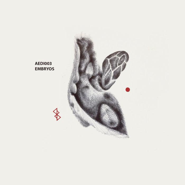Embryos - Emyr