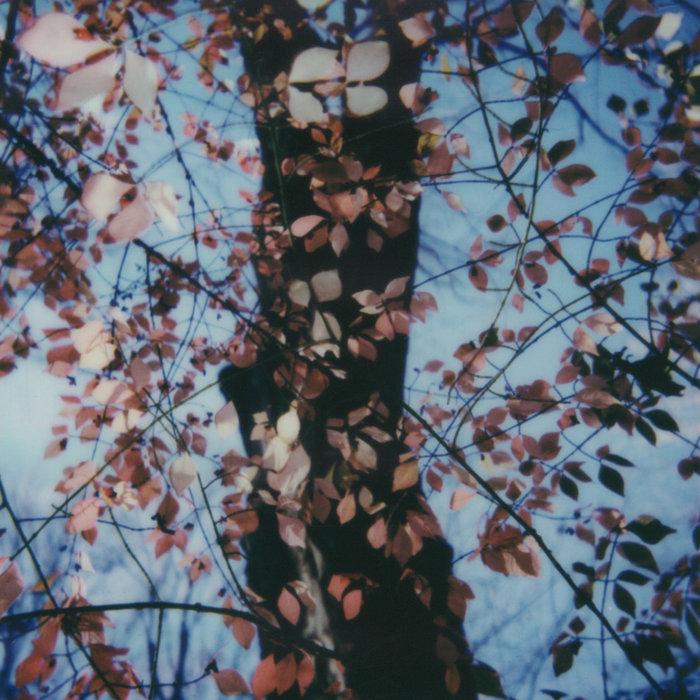 Stanza IV - Benoît Pioulard