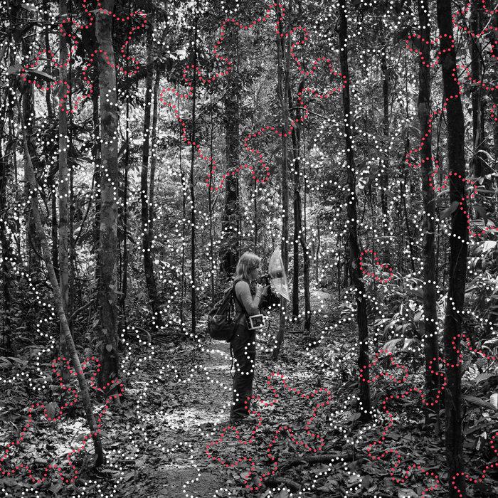 The Amazon—where the moon wept - Izabela Dłużyk