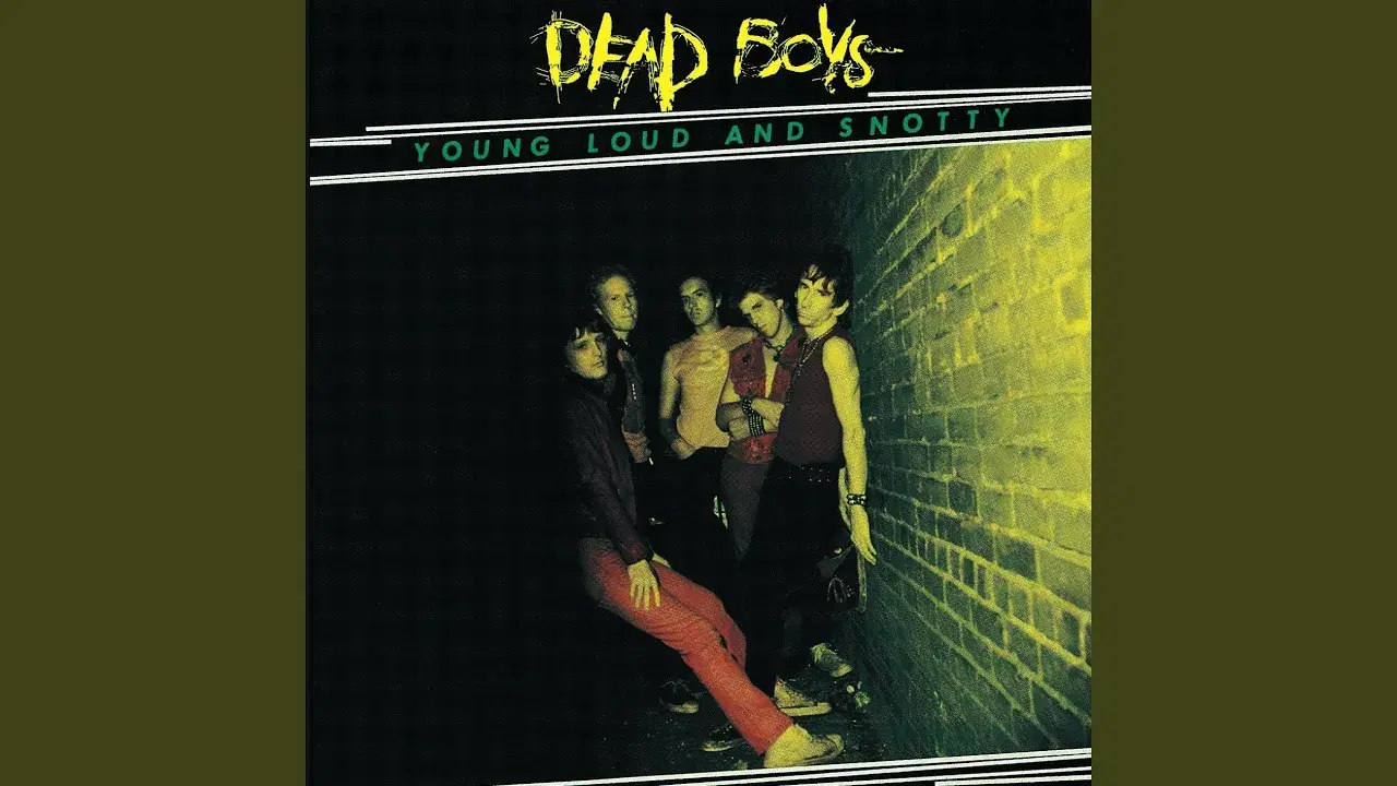 1-2-3-4 Punk & New Wave 1976-1979 - Dead Boys