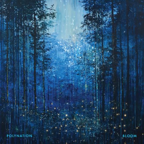 Bloom - Polynation