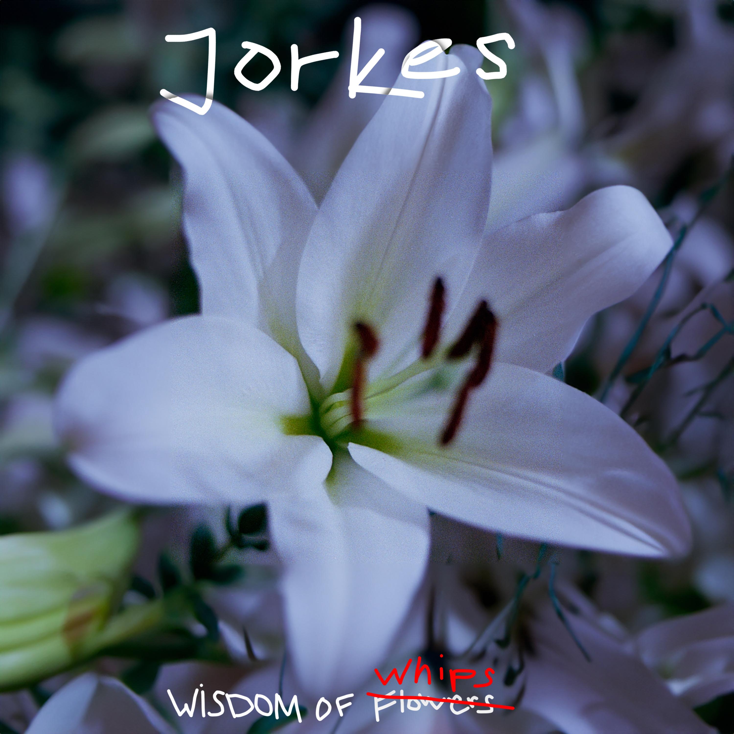 Wisdom of Whips EP Permanent Vacation 343-1 - Jorkes