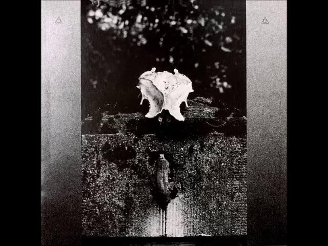 nEGAPADRĒS.3.3. - nEGAPADRÉS.3.3.