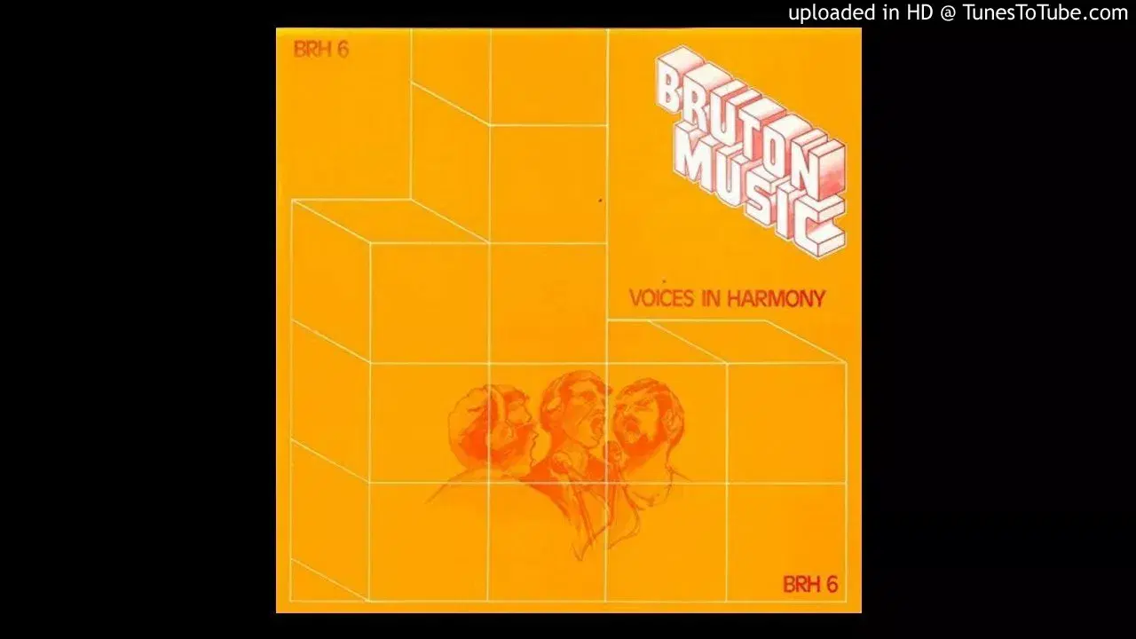 BRH 6 - Voices In Harmony - Adrian Baker/Roy Morgan
