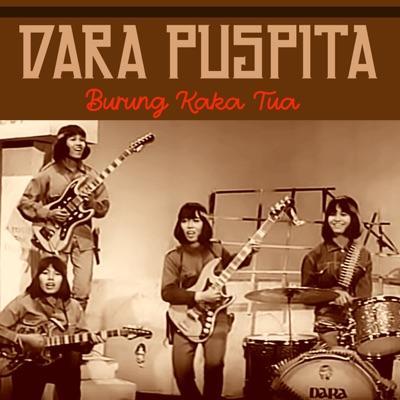  - Dara Puspita