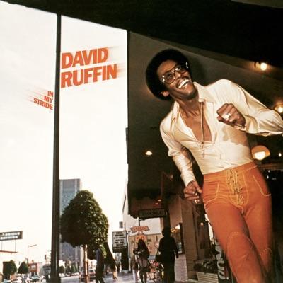 In My Stride - David Ruffin