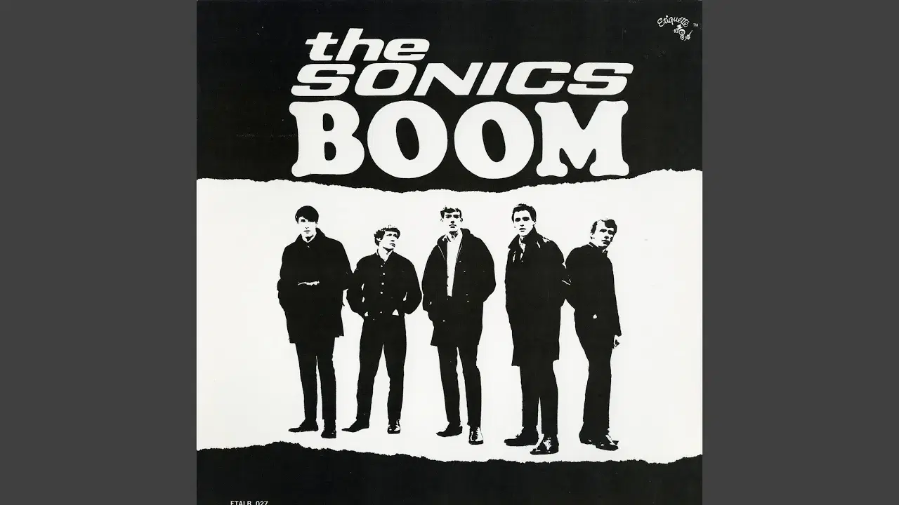 Vortex of Fuzz - Volume Three: I Don't Care - The Sonics