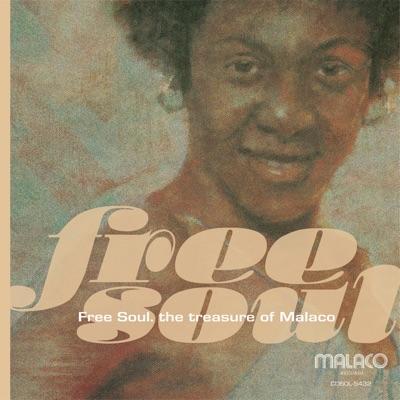 Free Soul The Treasure Of Malaco - Patterson Twins