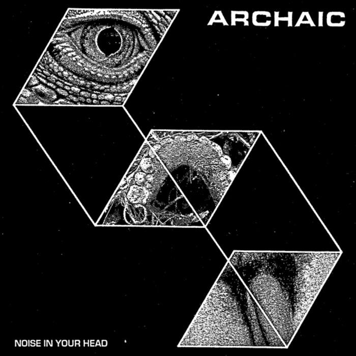 "Noise In Your Head" 7" (La Vida es Un Mus) - Archaic