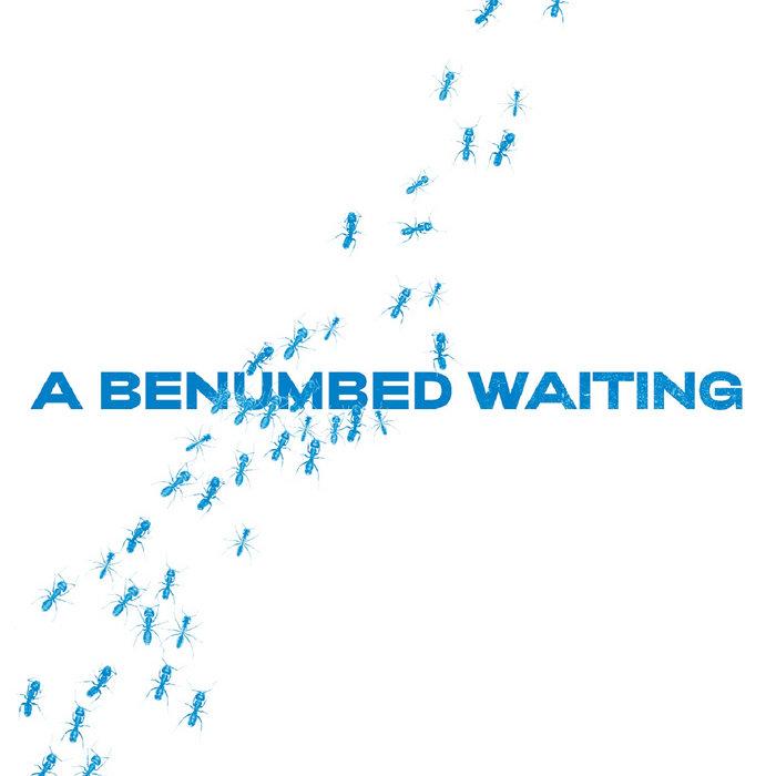 A  Benumbed Waiting - Betonkust