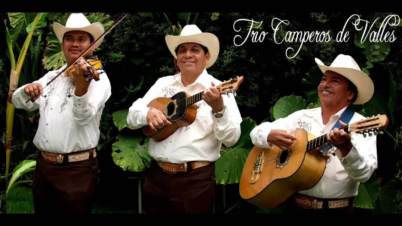  - Música Huasteca