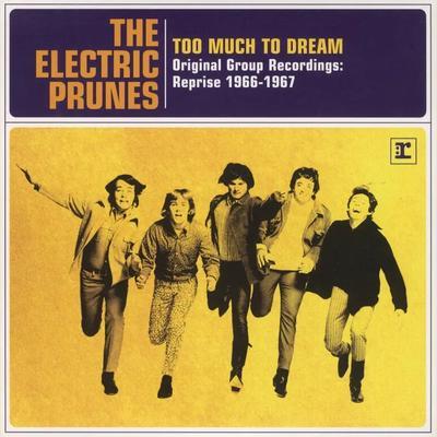  - The Electric Prunes
