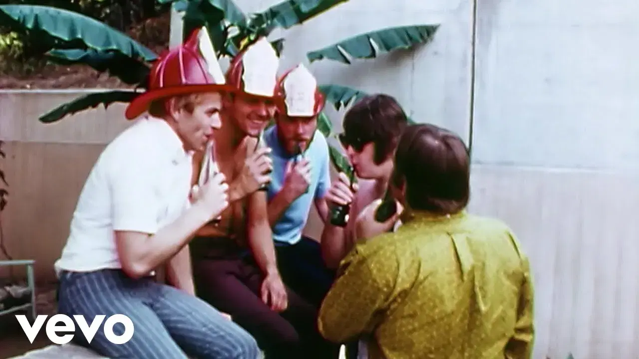 AM Gold: 1966 - Beach Boys, The