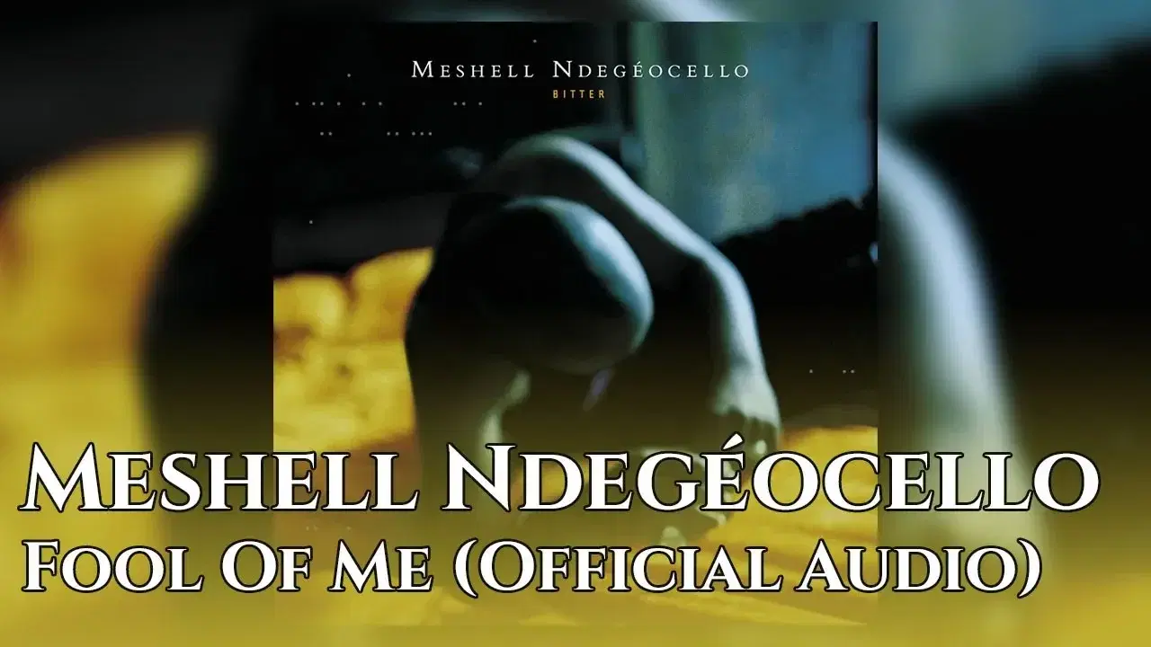  - Me'Shell NdegéOcello
