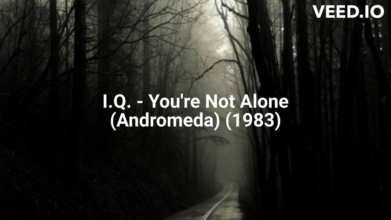  - IQ
