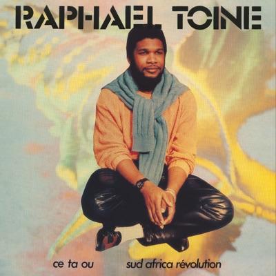 Beach Diggin', Vol. 5 - Raphael Toiné
