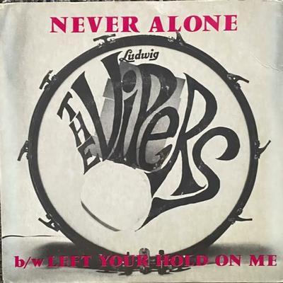 Garage Rockin' In The 80's Vol. 1 - The Vipers