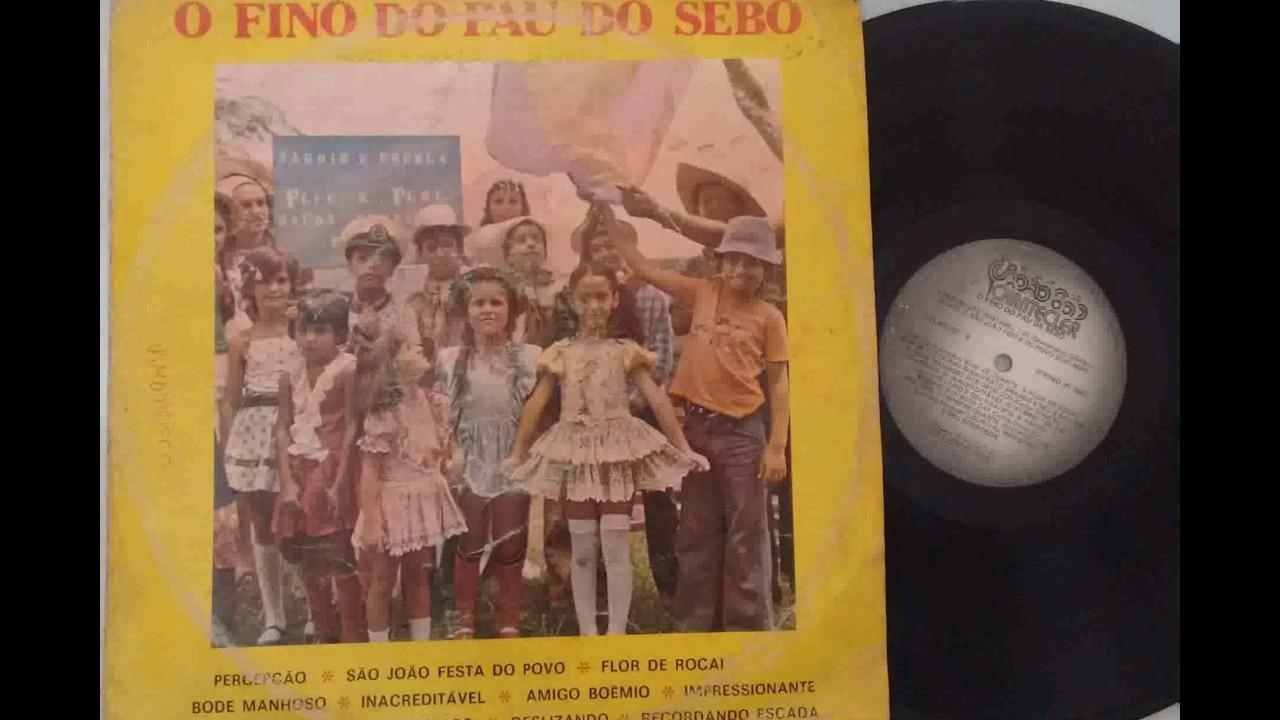 Tudo Bonito - Ivo Paraibano