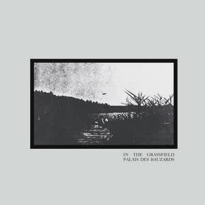 In The Grassfield - Palais Des Bauzards