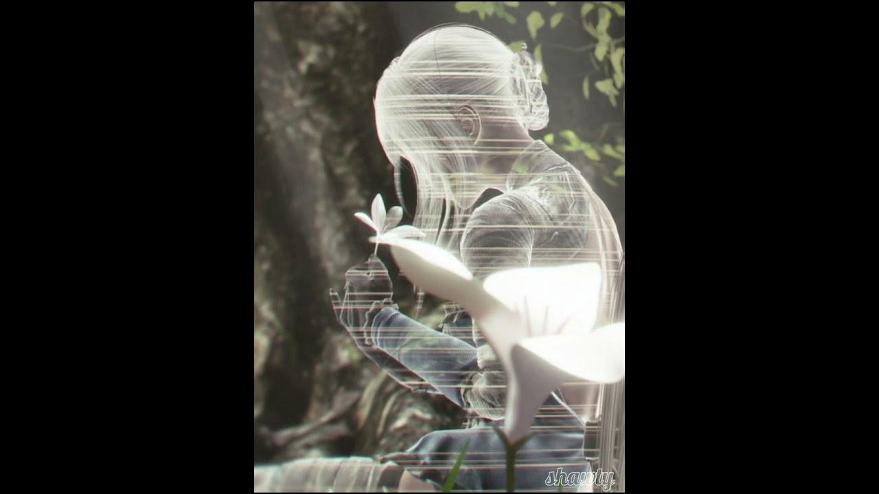 Sentimientos Encontrados - Nicola Cruz/Isabella LoveStory