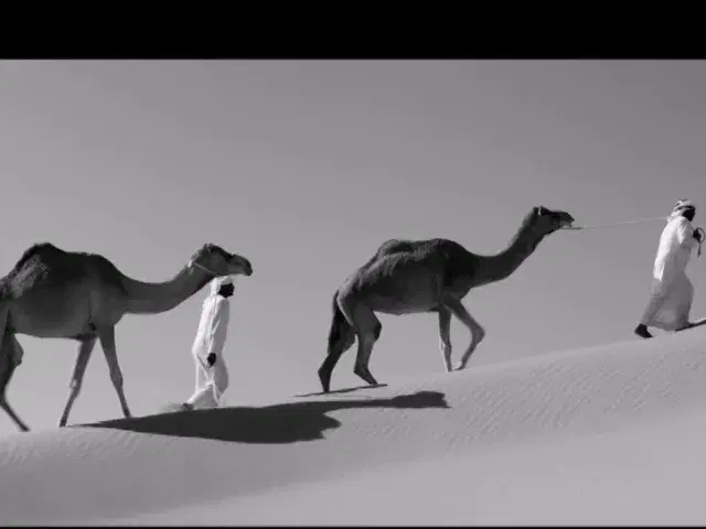Oriental Groove - Kervan