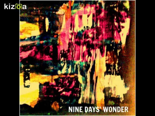 Only The Dancers - Nine Days' Wonder