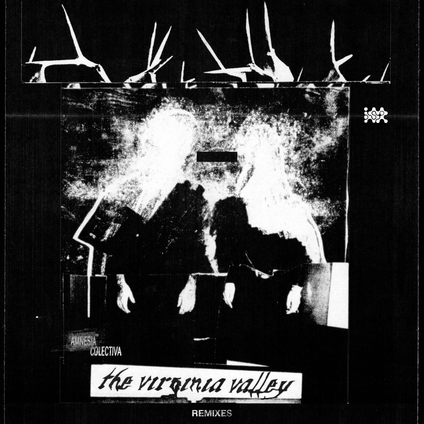 Amnesia Colectiva: Remixes - The Virginia Valley