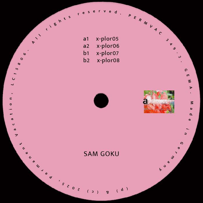 Explorations 02 - Sam Goku