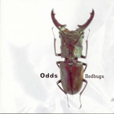 Bedbugs - The Odds