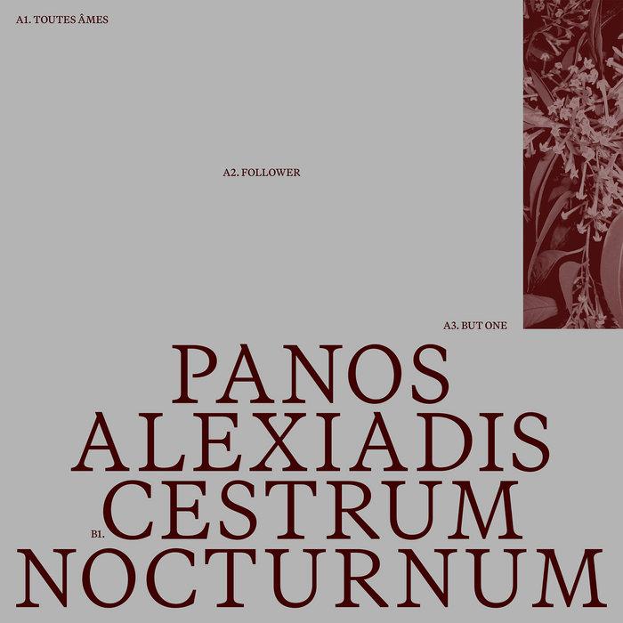 Cestrum Nocturnum - Panos Alexiadis