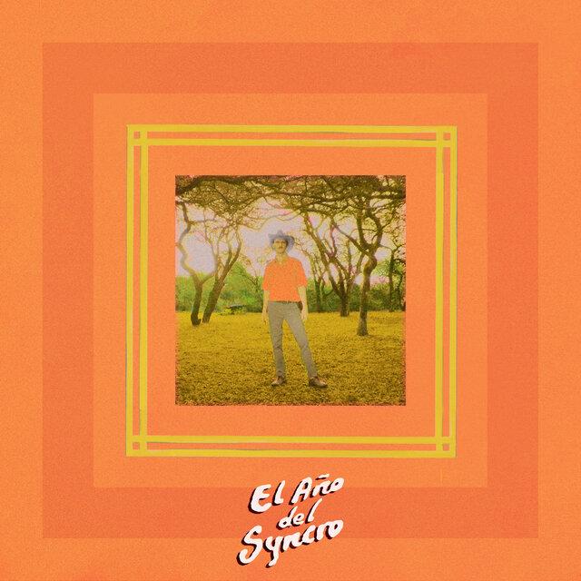 El Año del Syncro - Tati Falco