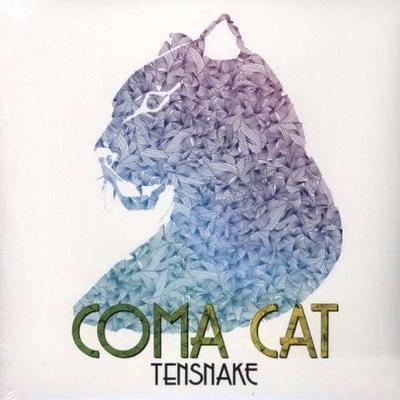  - Tensnake