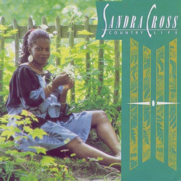 You're Lying - Sandra Cross
