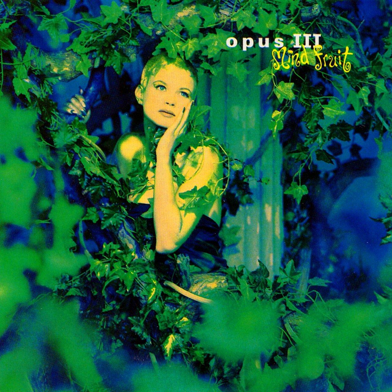 Mind Fruit - Opus III