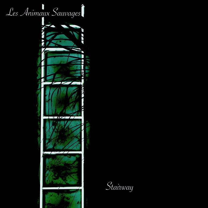 Stairway - Les Animaux Sauvages
