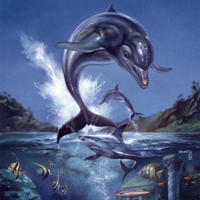 Ecco the Dolphin CD - Spencer Nilsen