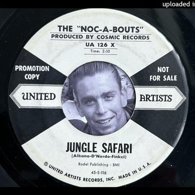 Jungle Exotica - The Nocabouts
