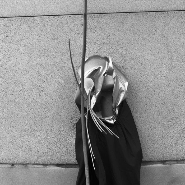 solidarité avec les morts - hôpital des dauphins