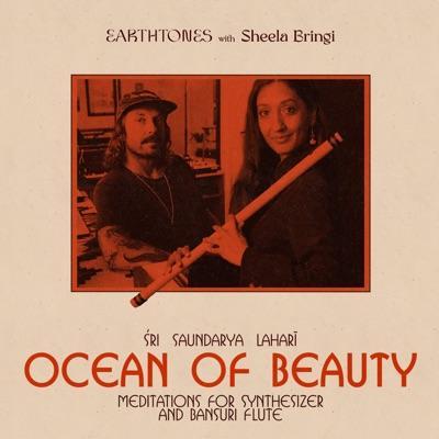 Ocean of Beauty: Meditations for Synthesizer & Bansuri Flute - Earthtones feat. Sheela Bringi