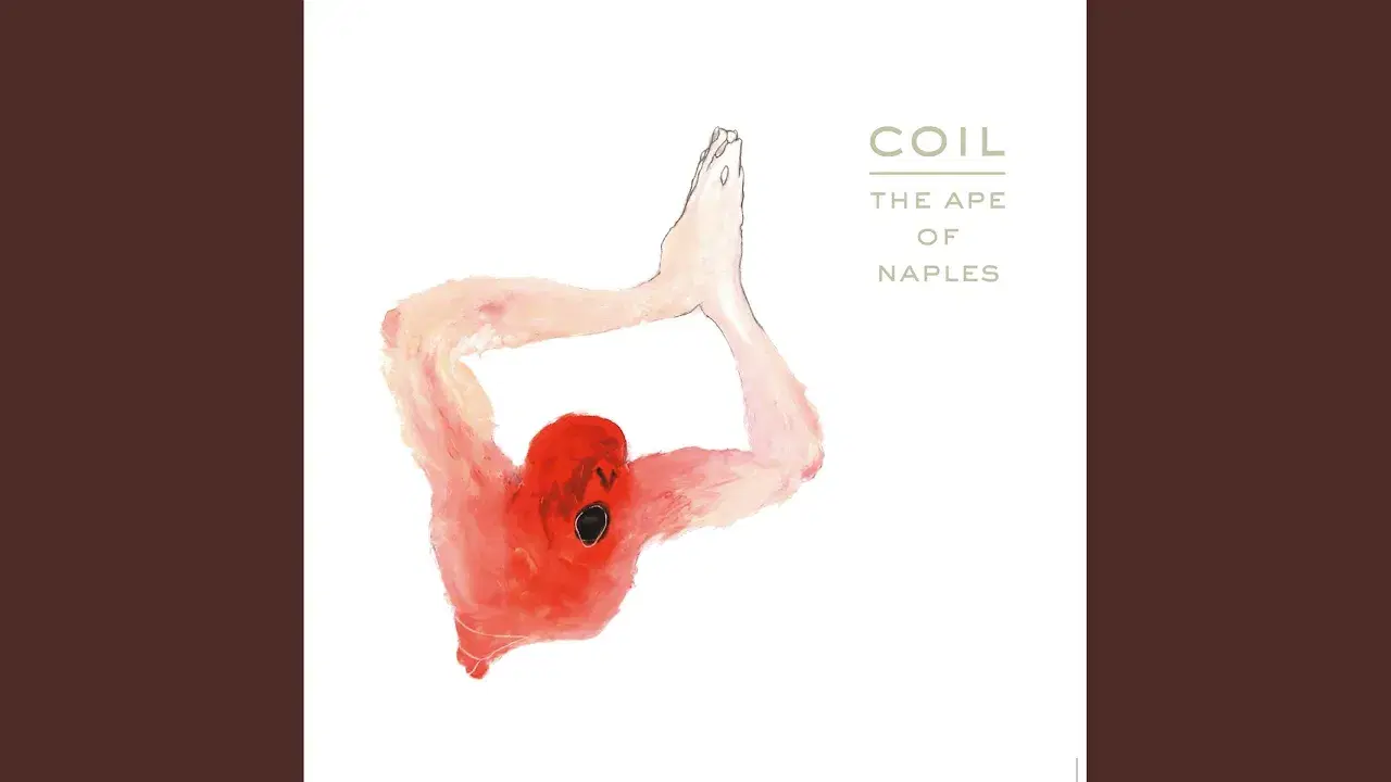 The Ape Of Naples - Coil