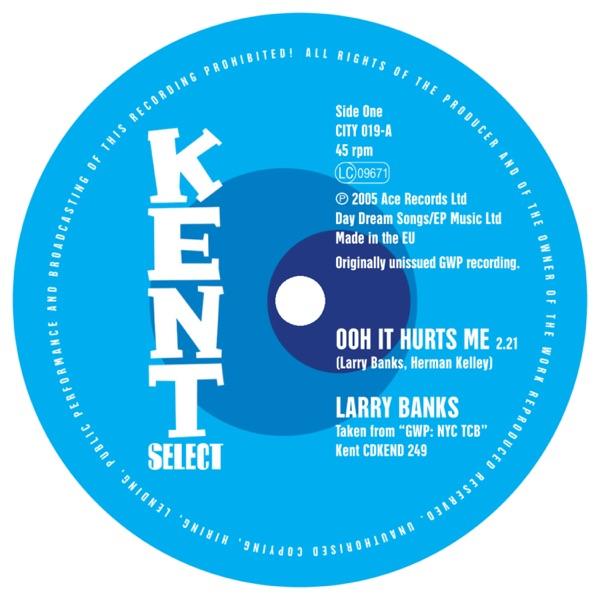 Ooh It Hurts Me / Without Your Love - Bobby Penn